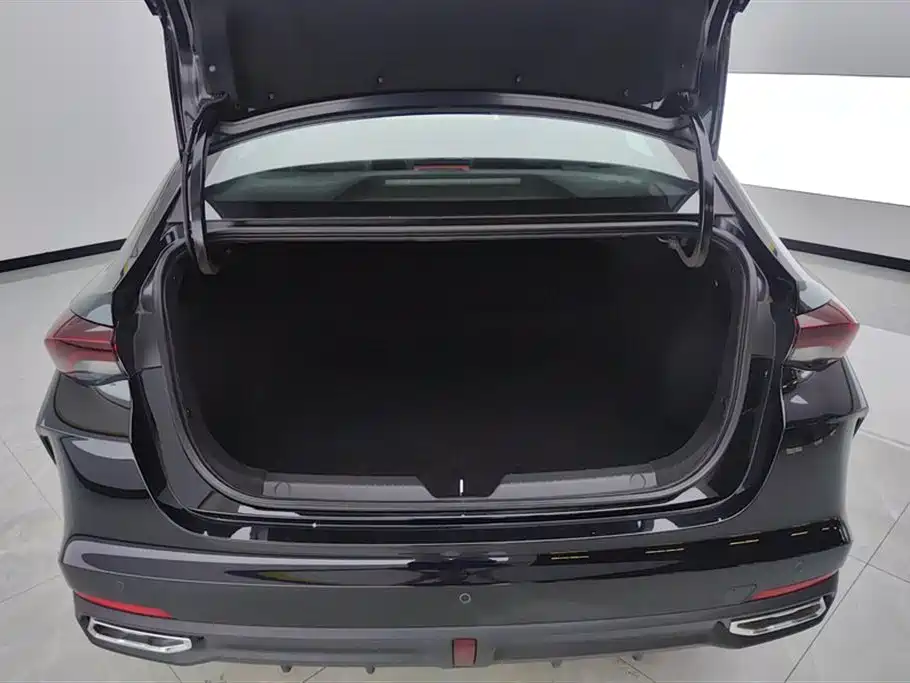 Trumpchi Shadow Leopard