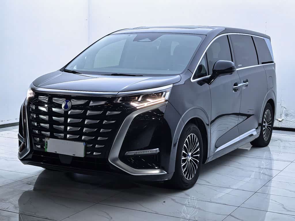 Denza D9