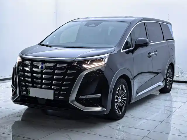 Denza D-9 2024 — купить из Китая под заказ