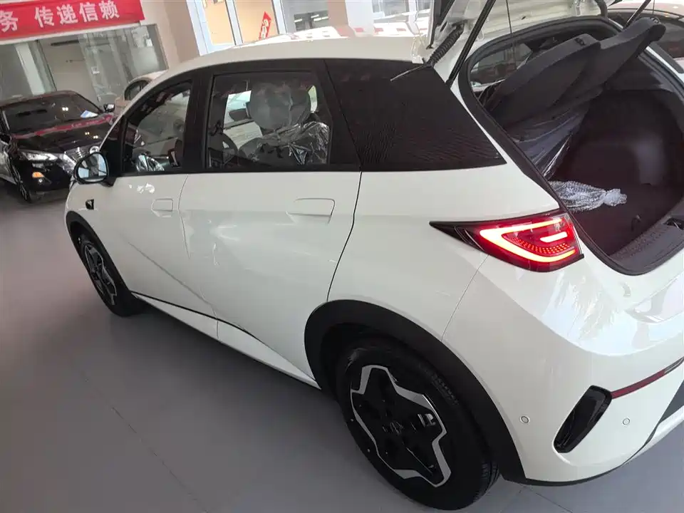 BYD dolphin