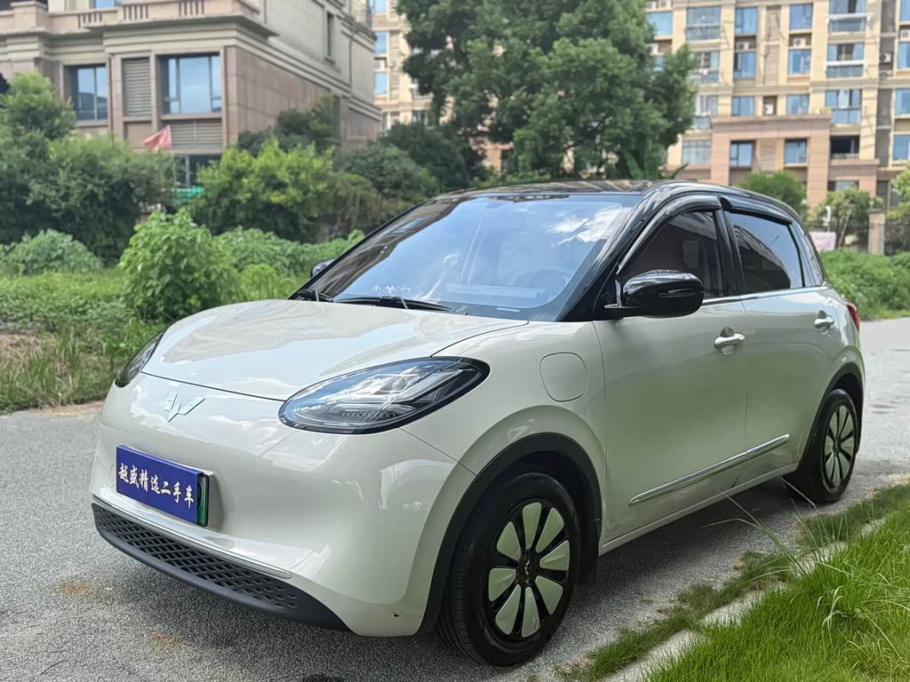 Wuling Binguo