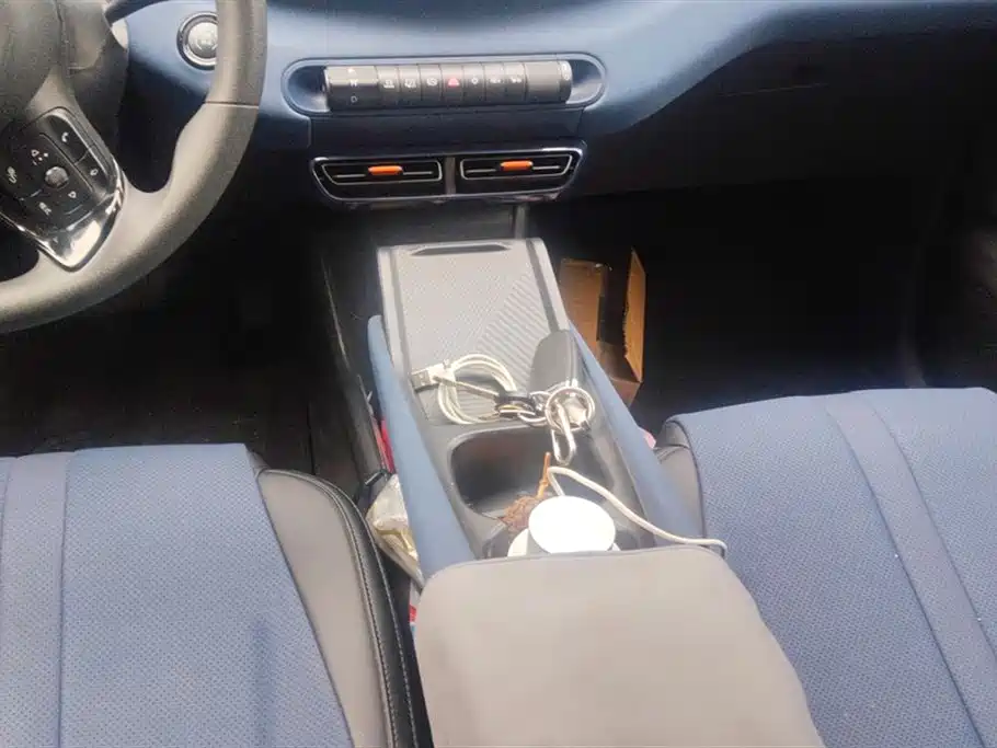 BYD Seagull