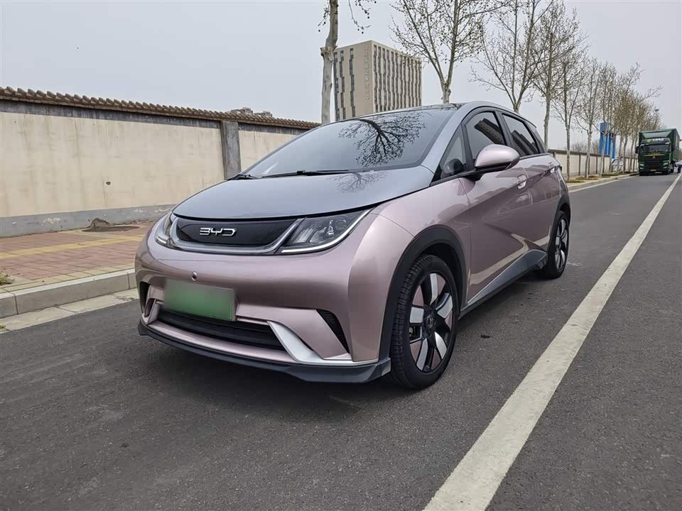 BYD dolphin
