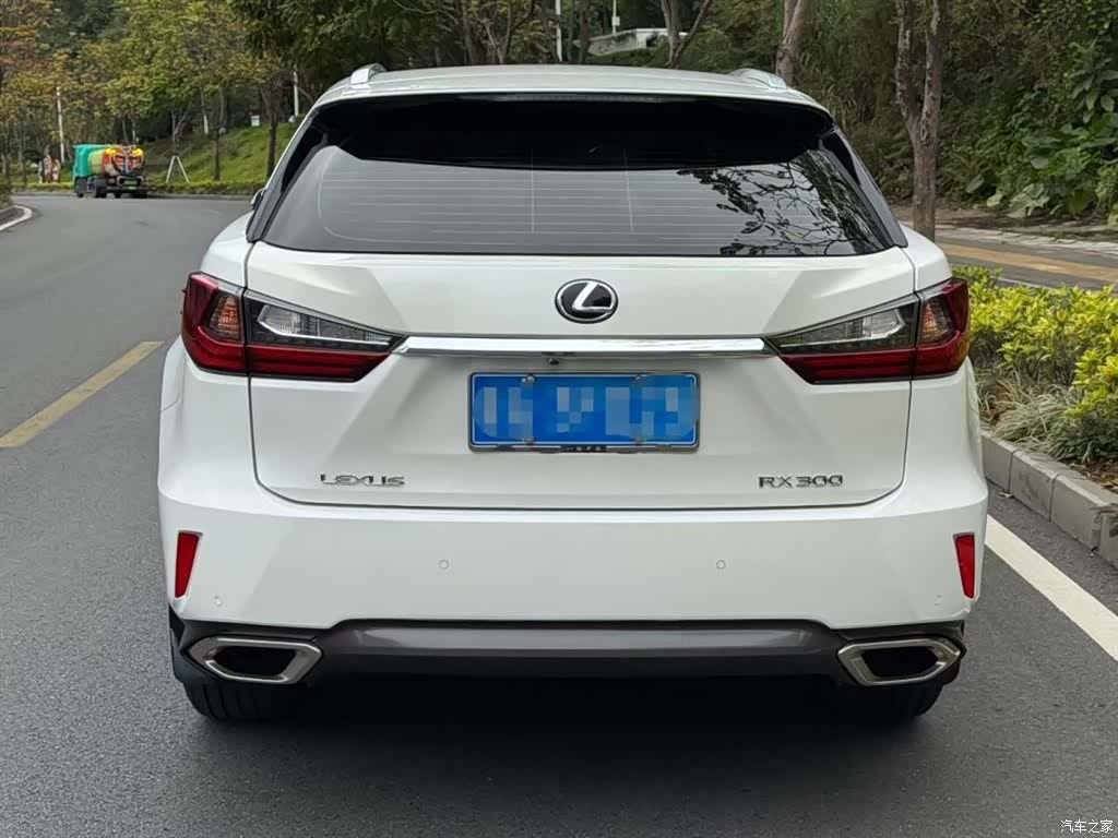 Lexus RX, 2019 7