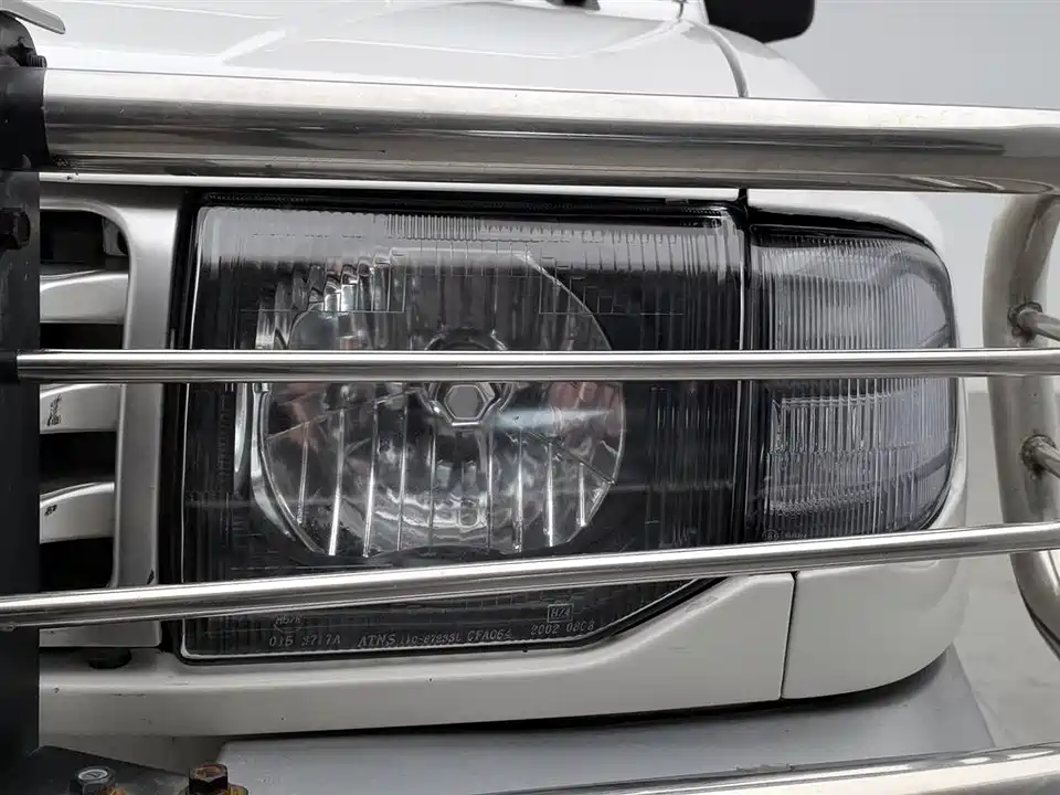 Leopaard Black King Kong