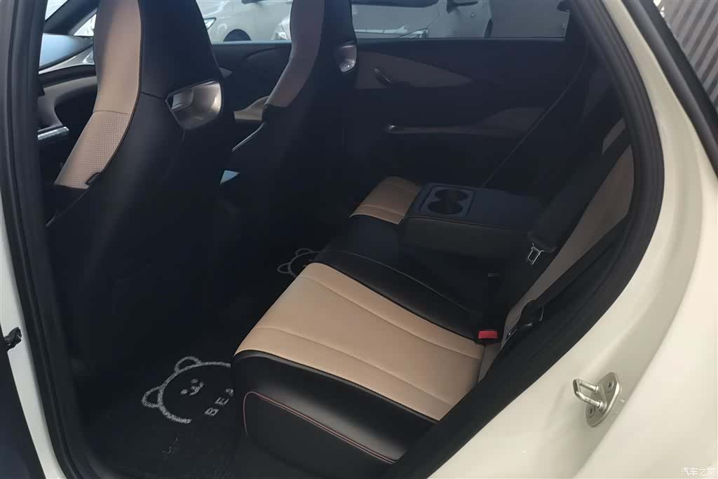 BYD Dolphin, 2024 11