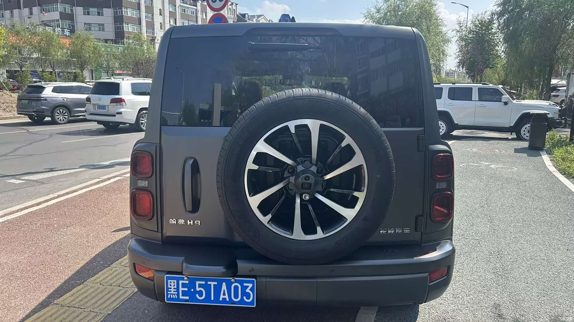 Haval H9, 2024 все фото