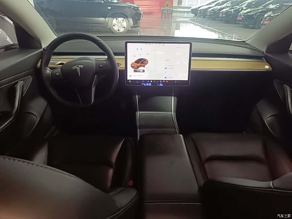 Tesla Model 3, 2020 10