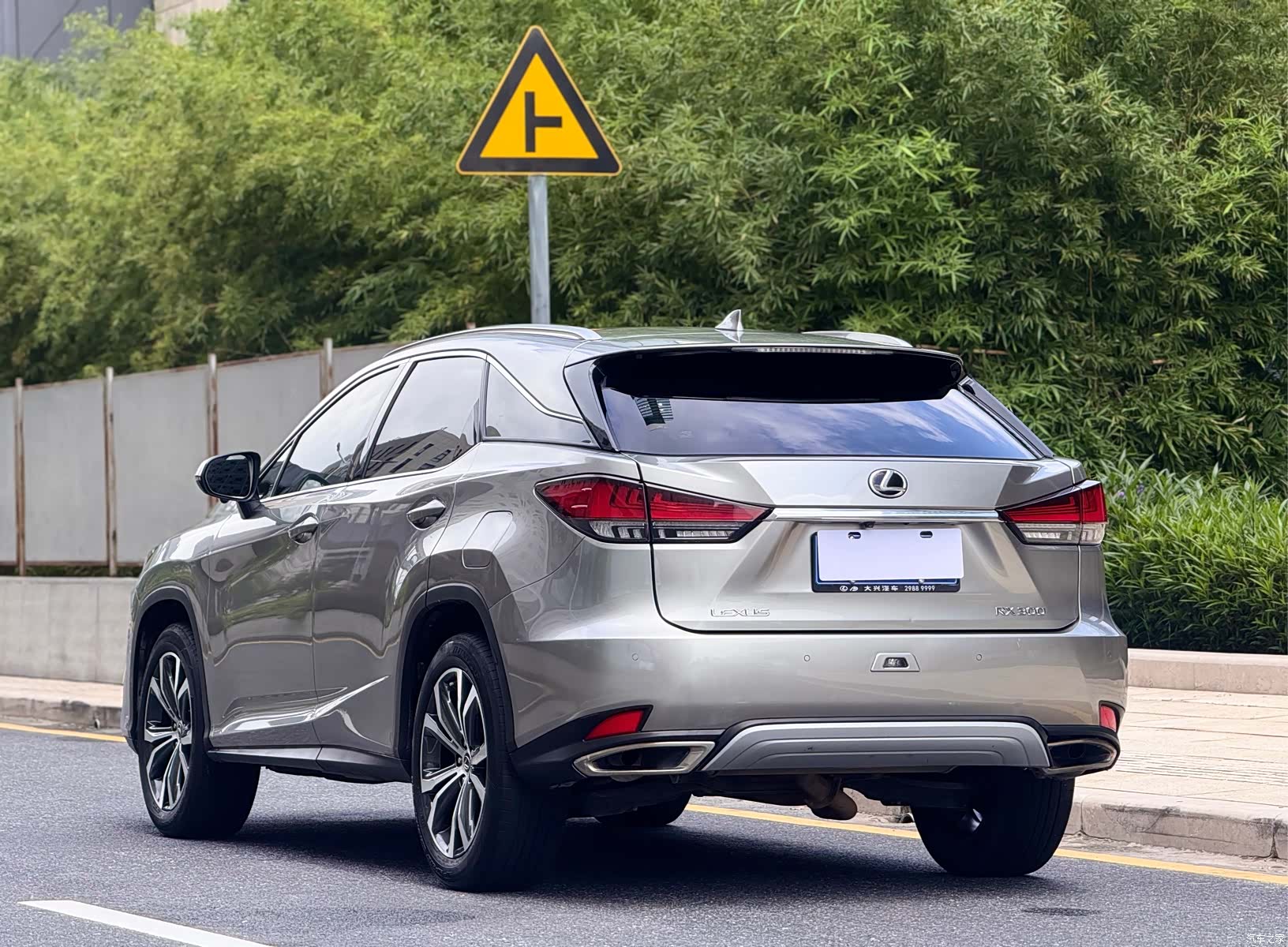 Lexus RX, 2021 все фото