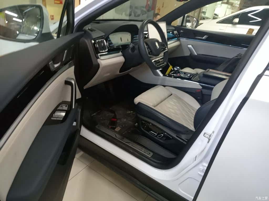 BYD Tang, 2024 15