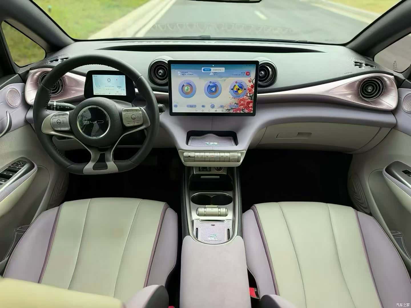 BYD Dolphin, 2023 7