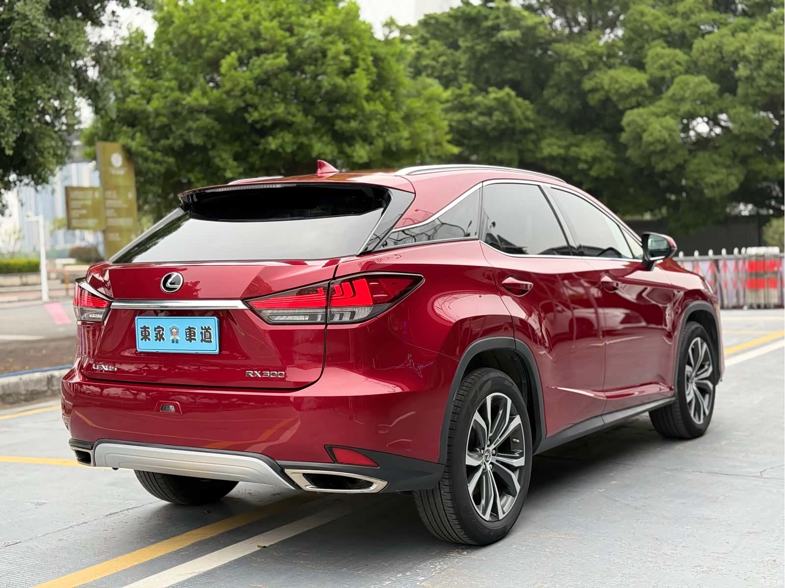 Lexus RX, 2020 все фото