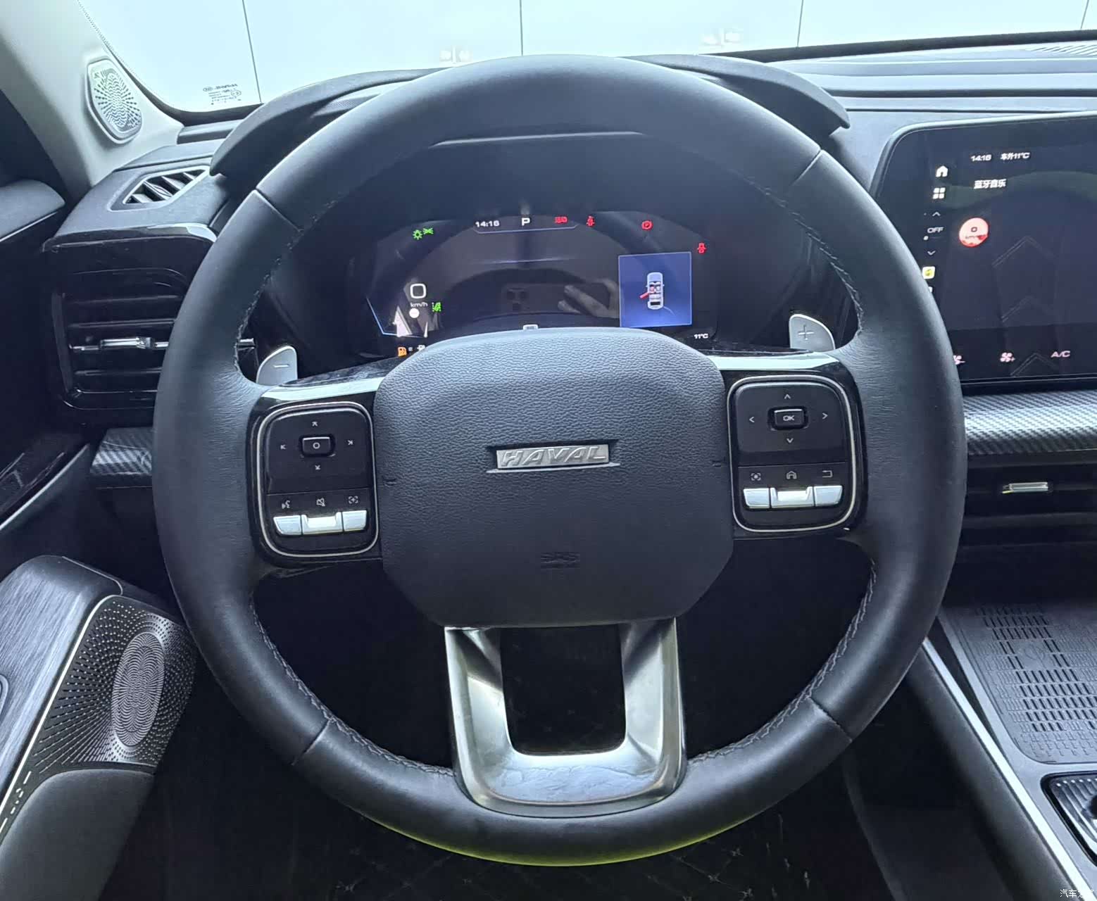 Haval Cool Dog, 2022 10