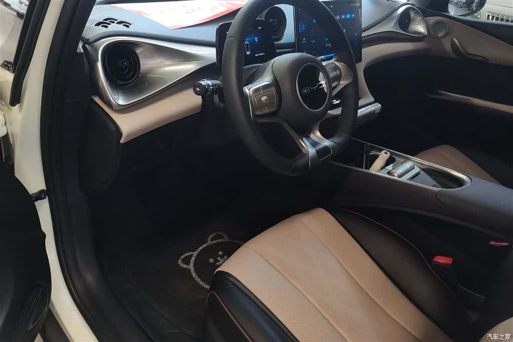 BYD Dolphin, 2024 12