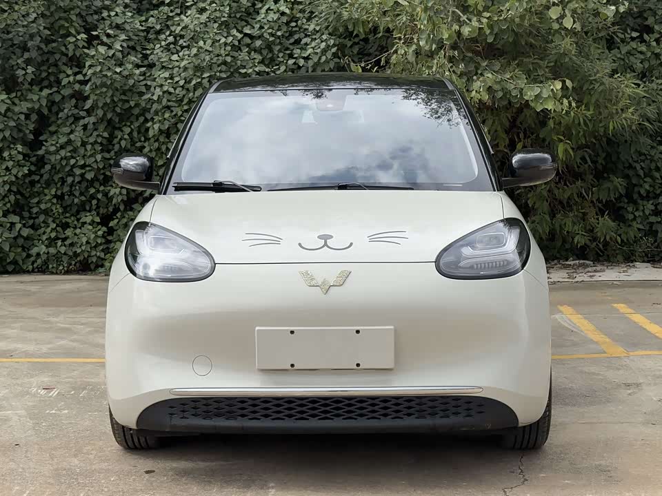 Wuling Wuling Bingguo