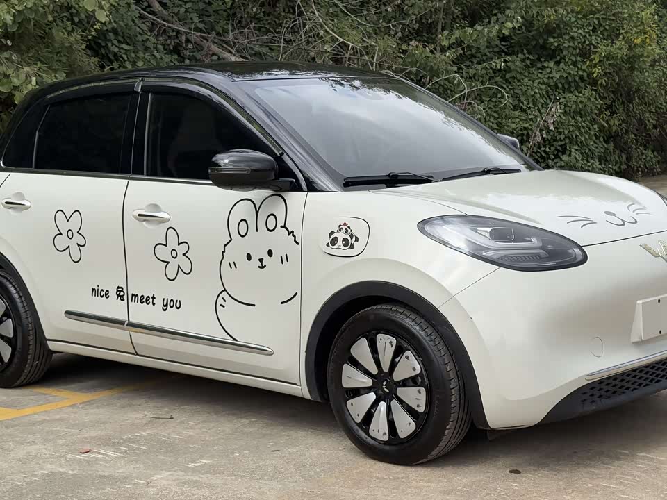 Wuling Wuling Bingguo