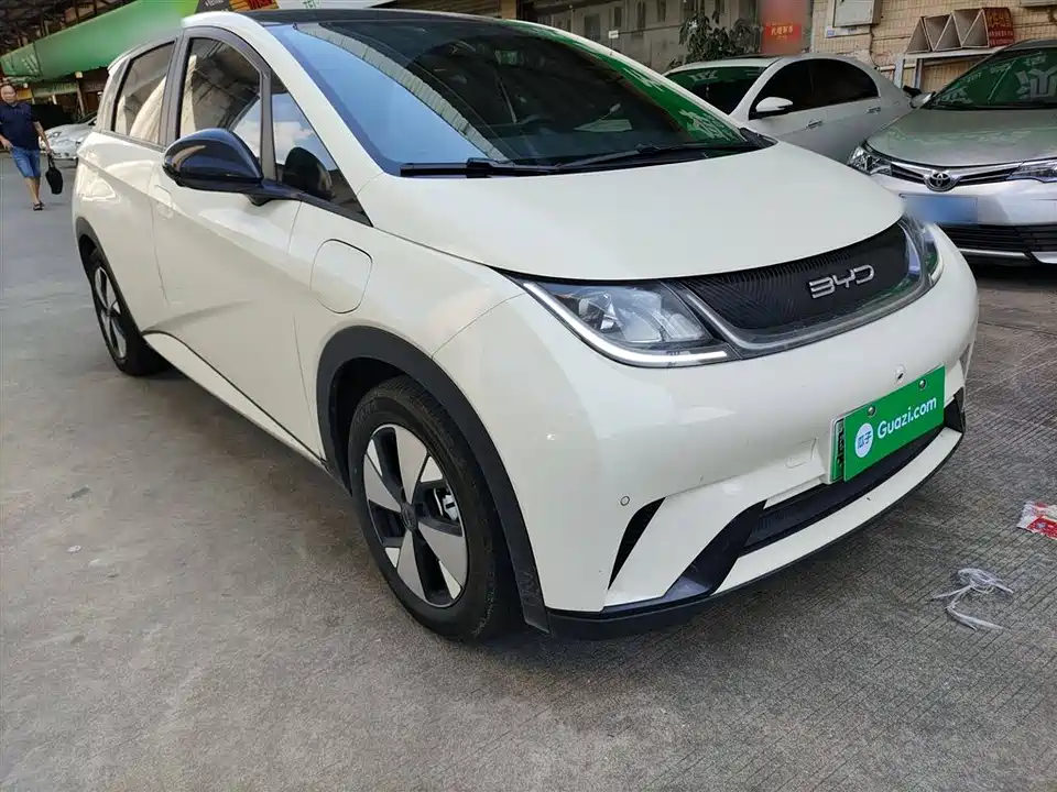 BYD dolphin
