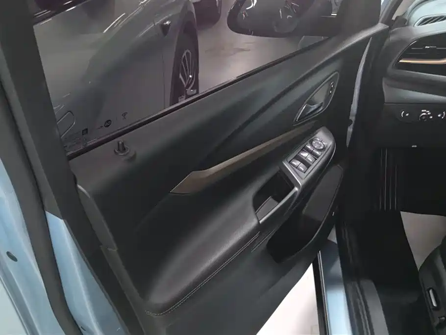 Buick Slightly blue 7