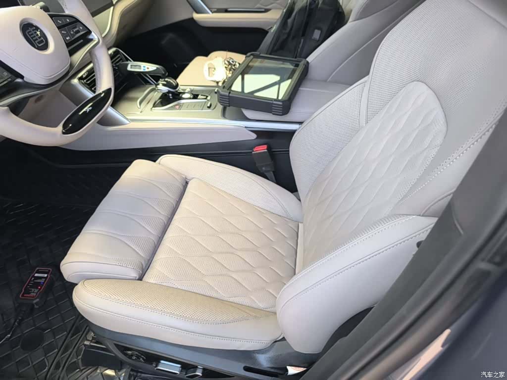 BYD Tang, 2024 15