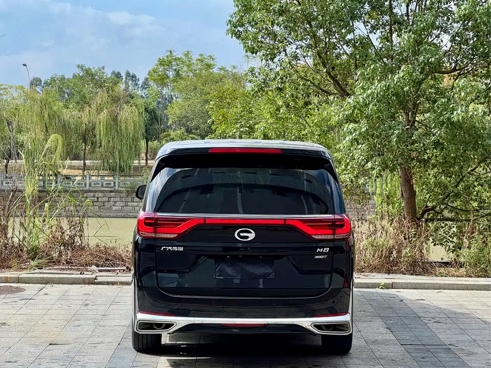 Trumpchi Trumpchi M8