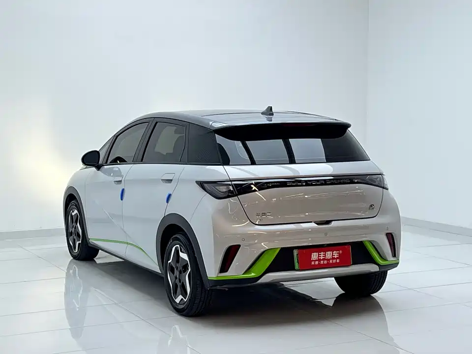 BYD dolphin