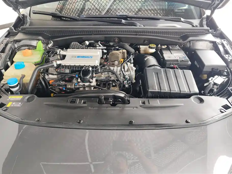 Trumpchi Shadow Leopard