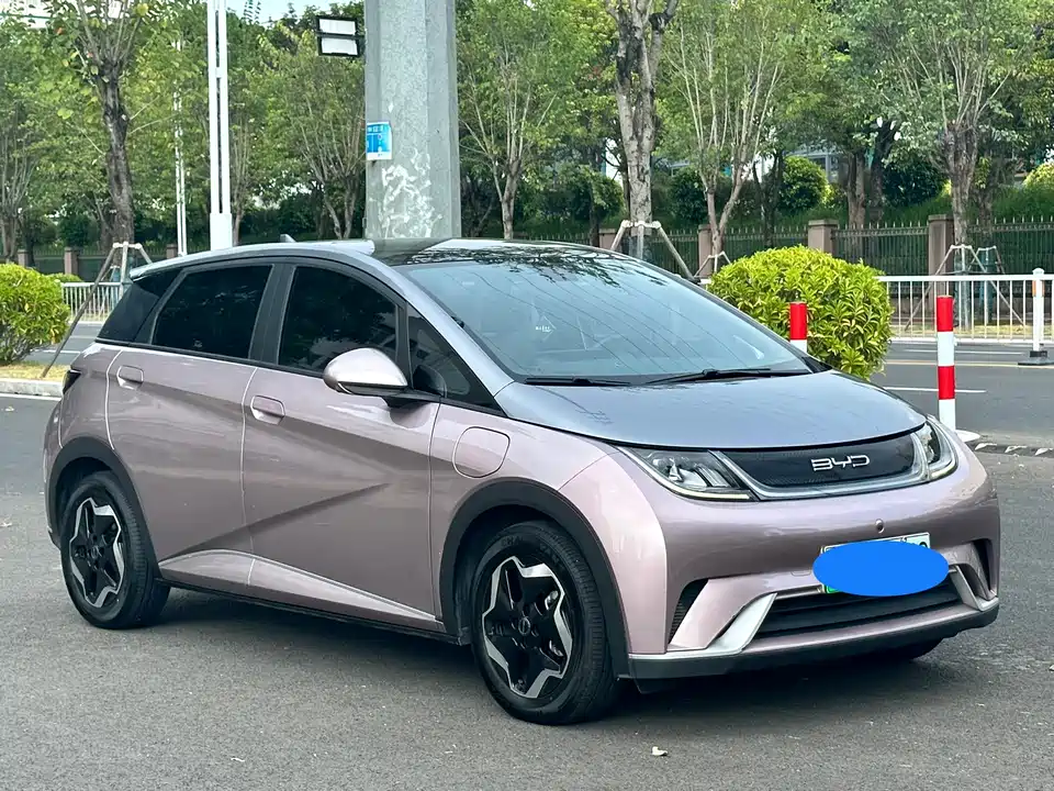 BYD dolphin