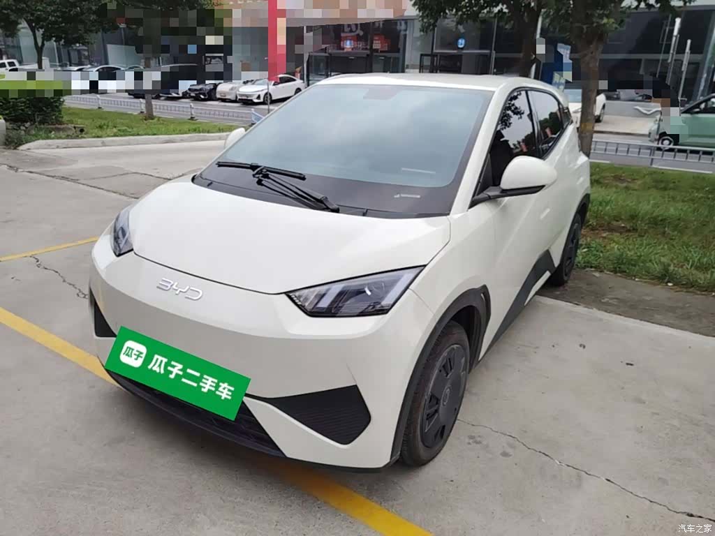 BYD Seagull, 2025 1