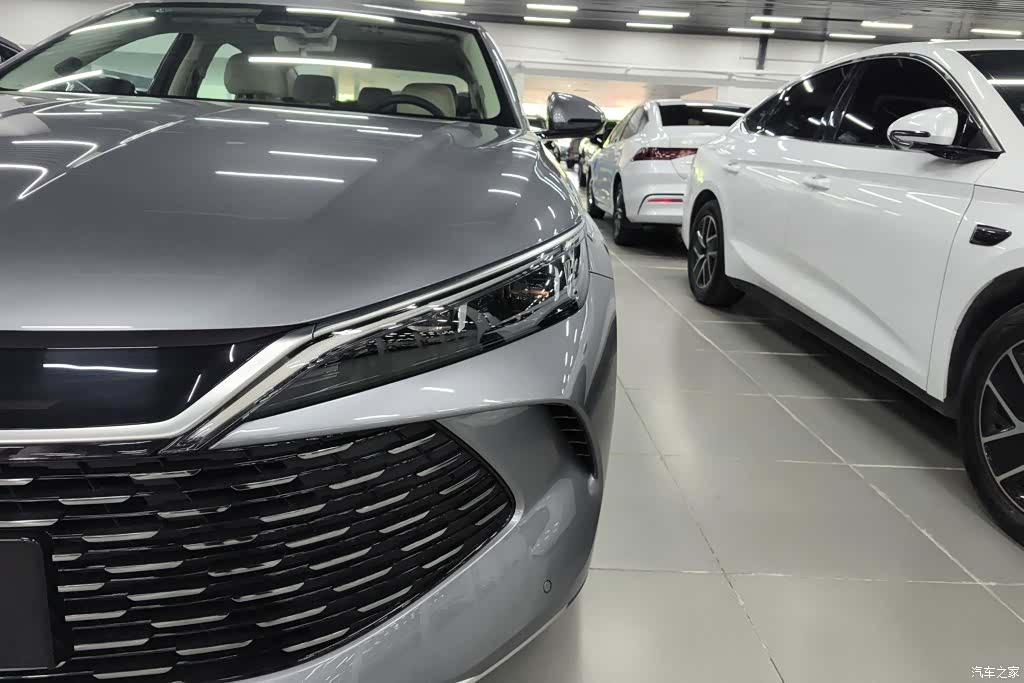BYD Qin, 2024 все фото