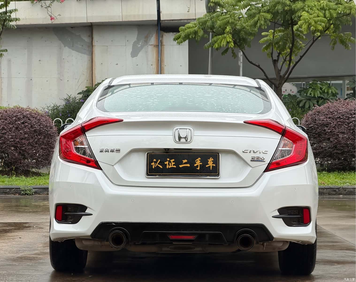 Honda Civic, 2020 все фото