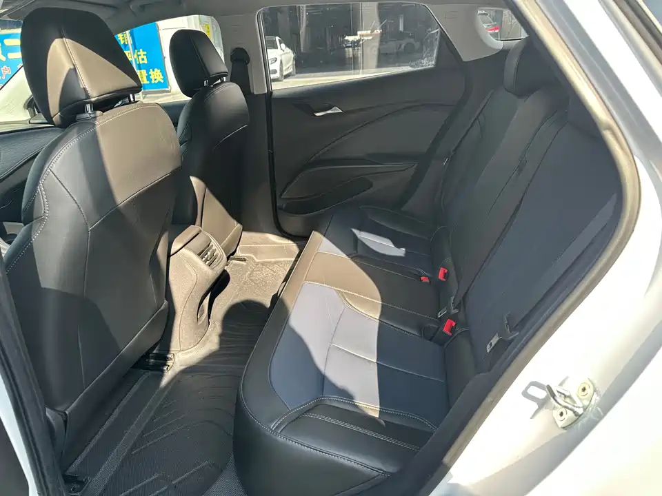 Buick Slightly blue 6