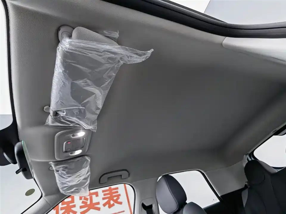 Dongfeng Nammi Nano 01