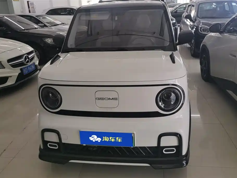 Geely Galaxy panda