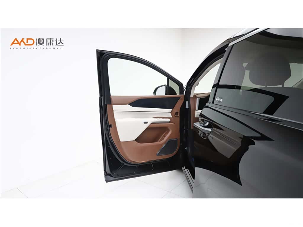 BYD Xia, 2025 11