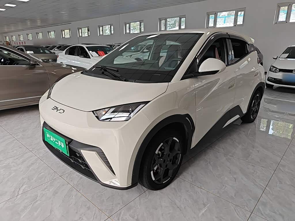 BYD Seagull