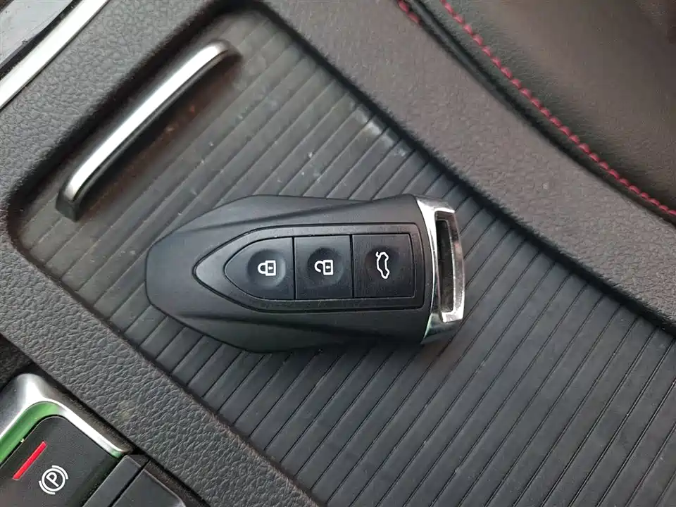 Leopaard Cheetah CS10