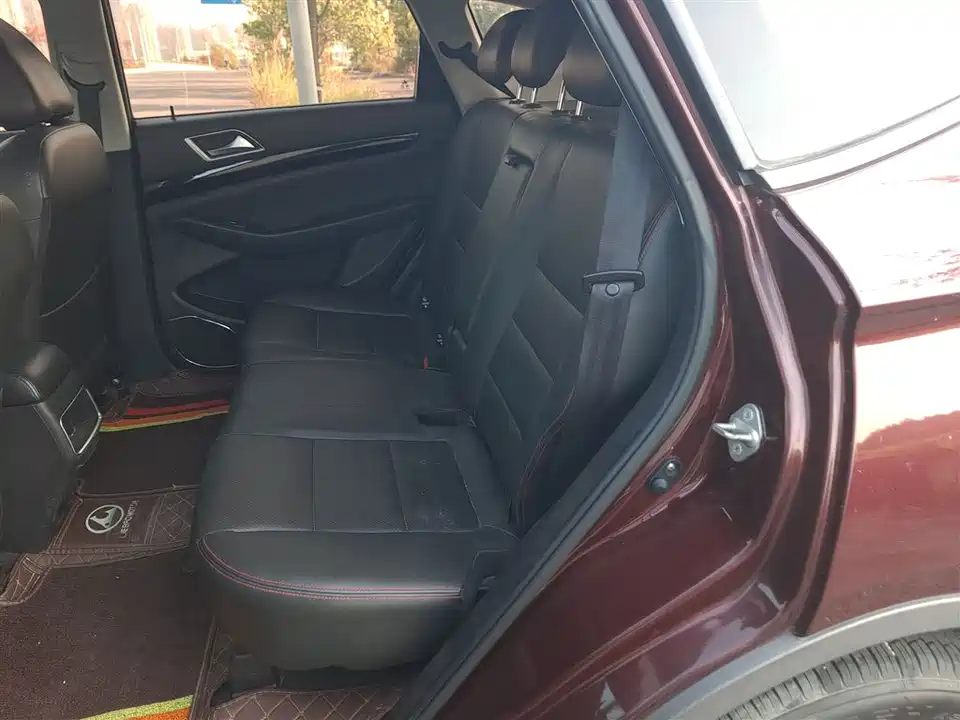 Leopaard Cheetah CS10