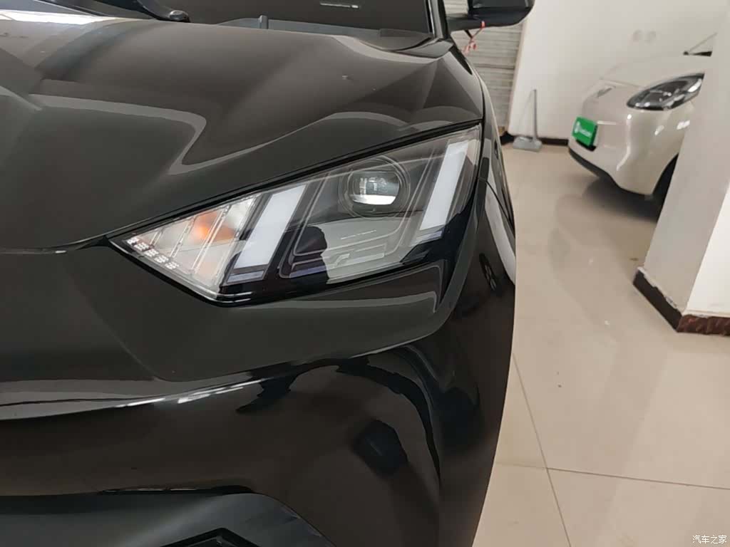BYD Seagull, 2023 24