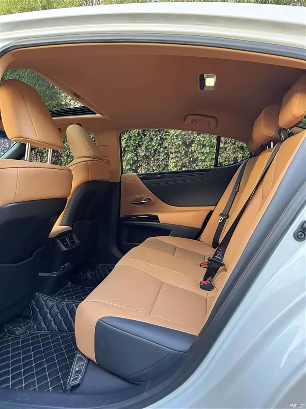 Lexus ES, 2024 15