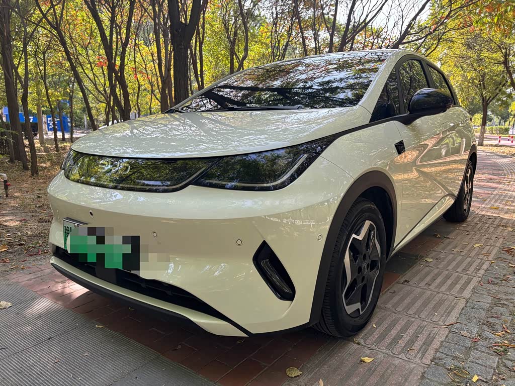 BYD Dolphin
