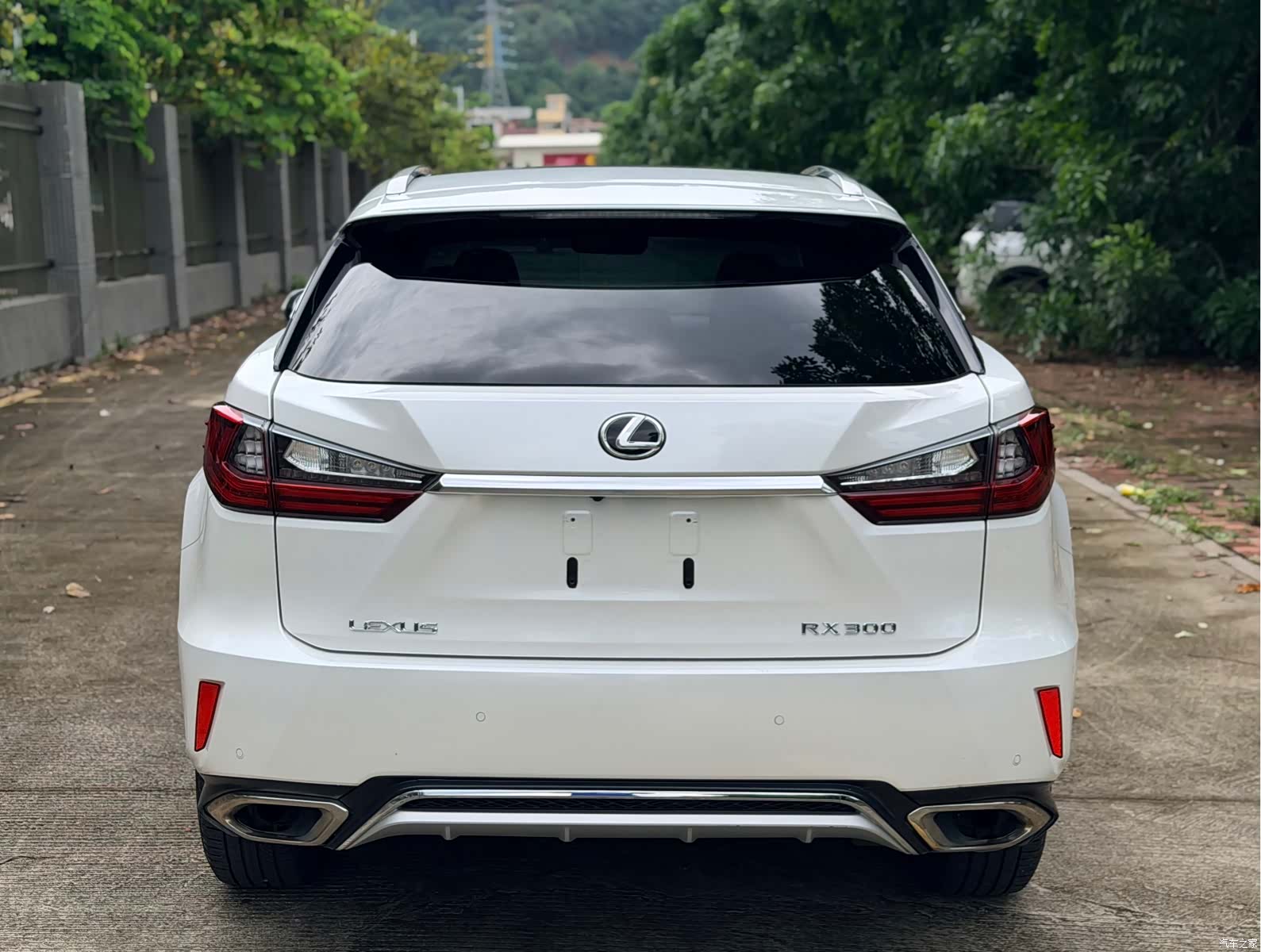 Lexus RX, 2017 все фото