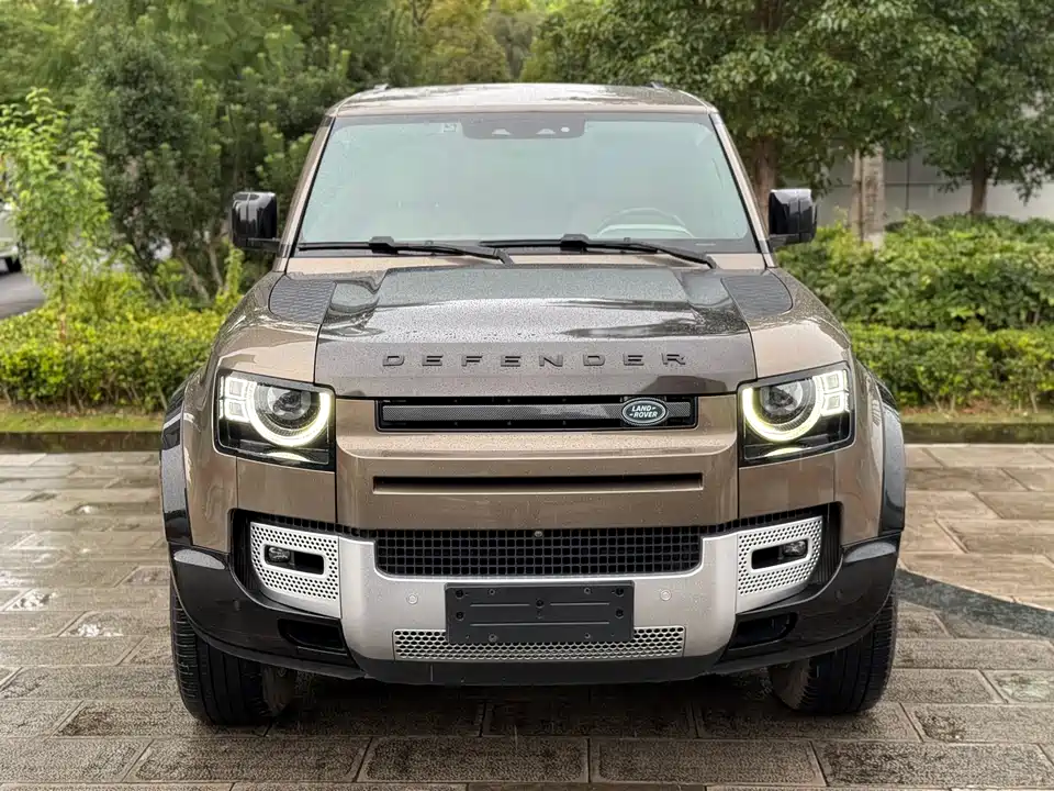 Land Rover guard