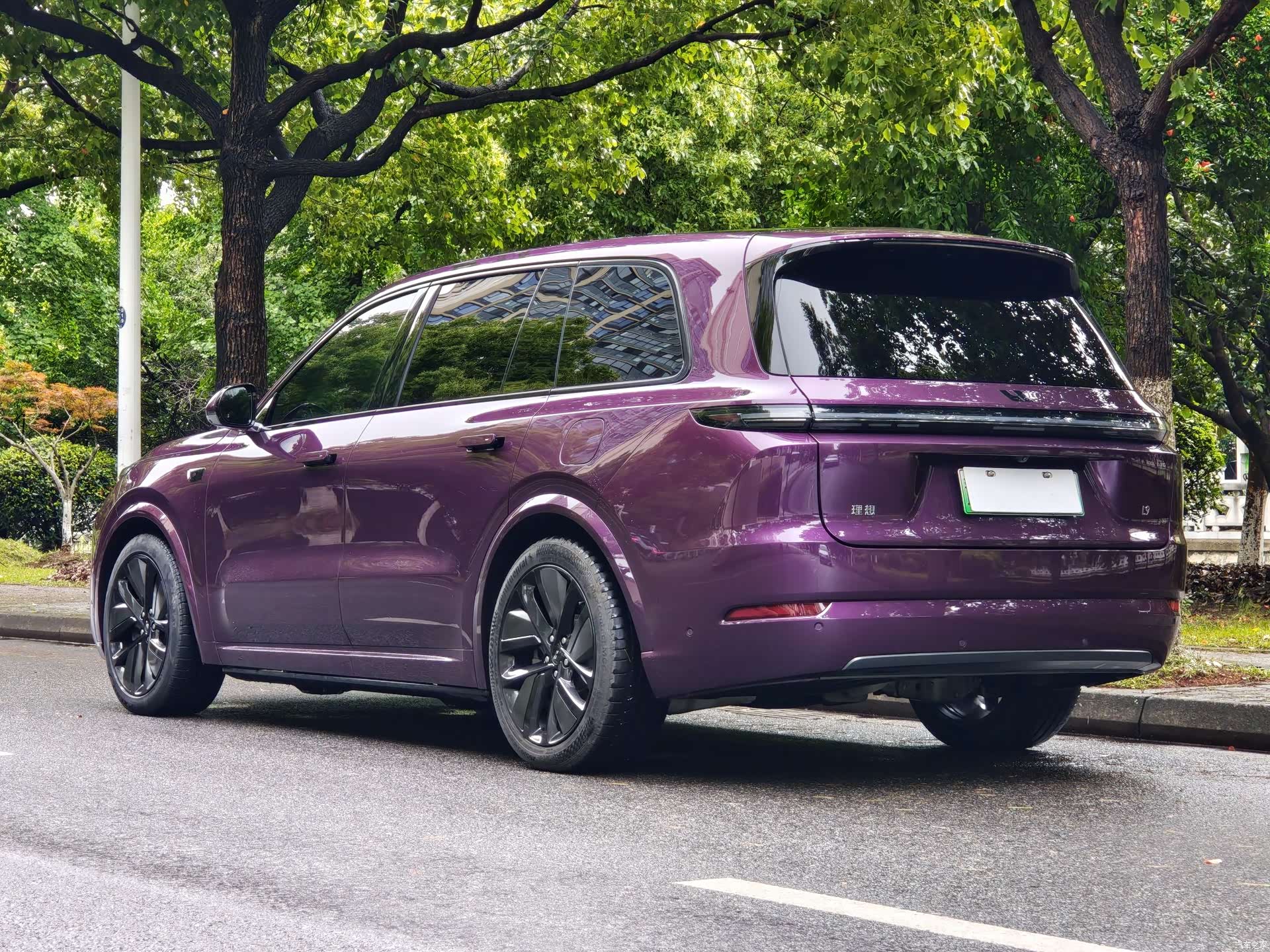 Li Auto L9, 2023 19