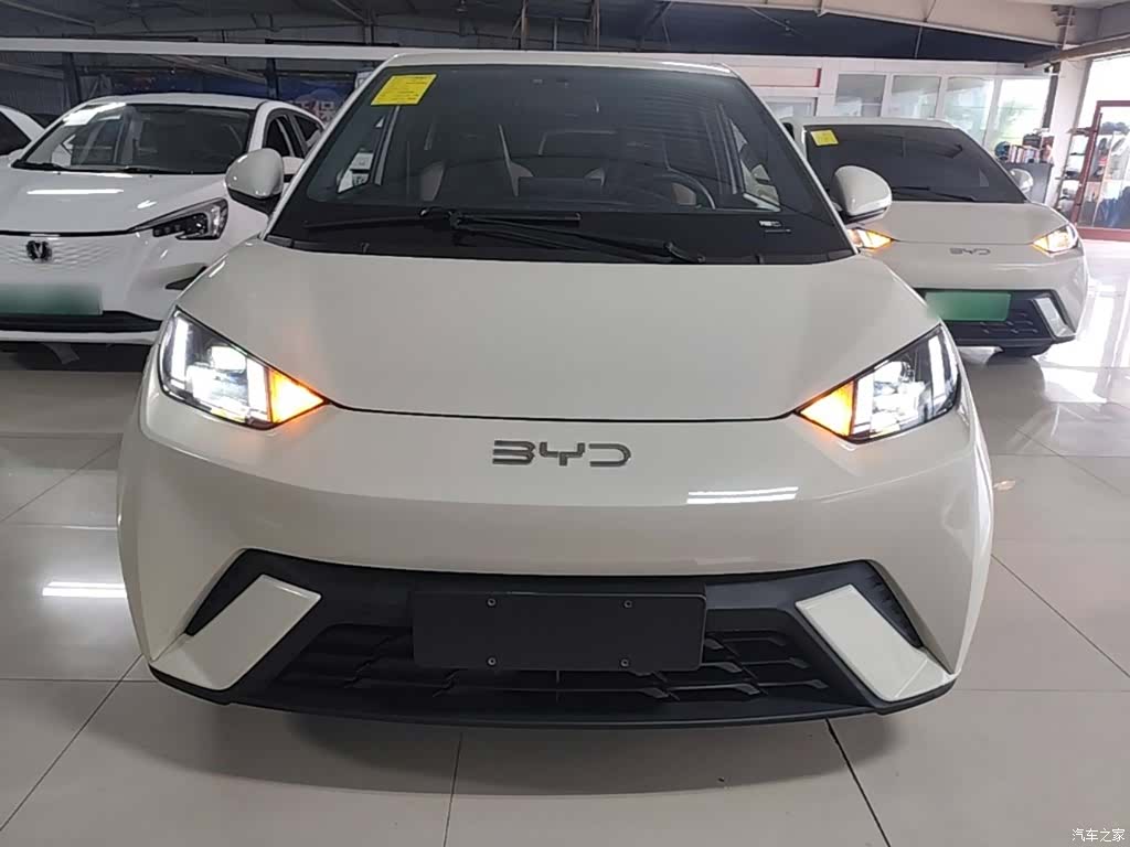 BYD Seagull, 2024 3