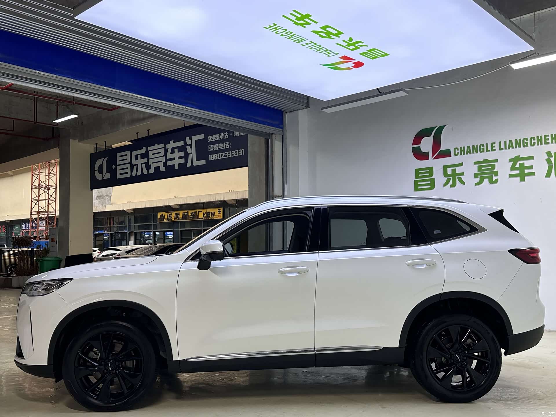 Haval H6, 2022 все фото