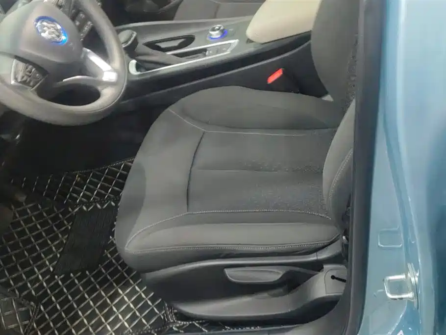 Buick Slightly blue 6