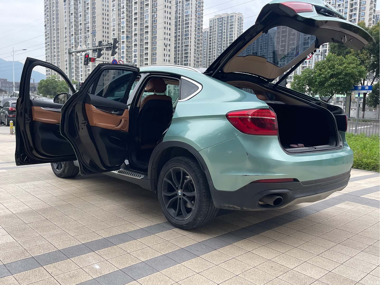 BMW X6, 2017 21