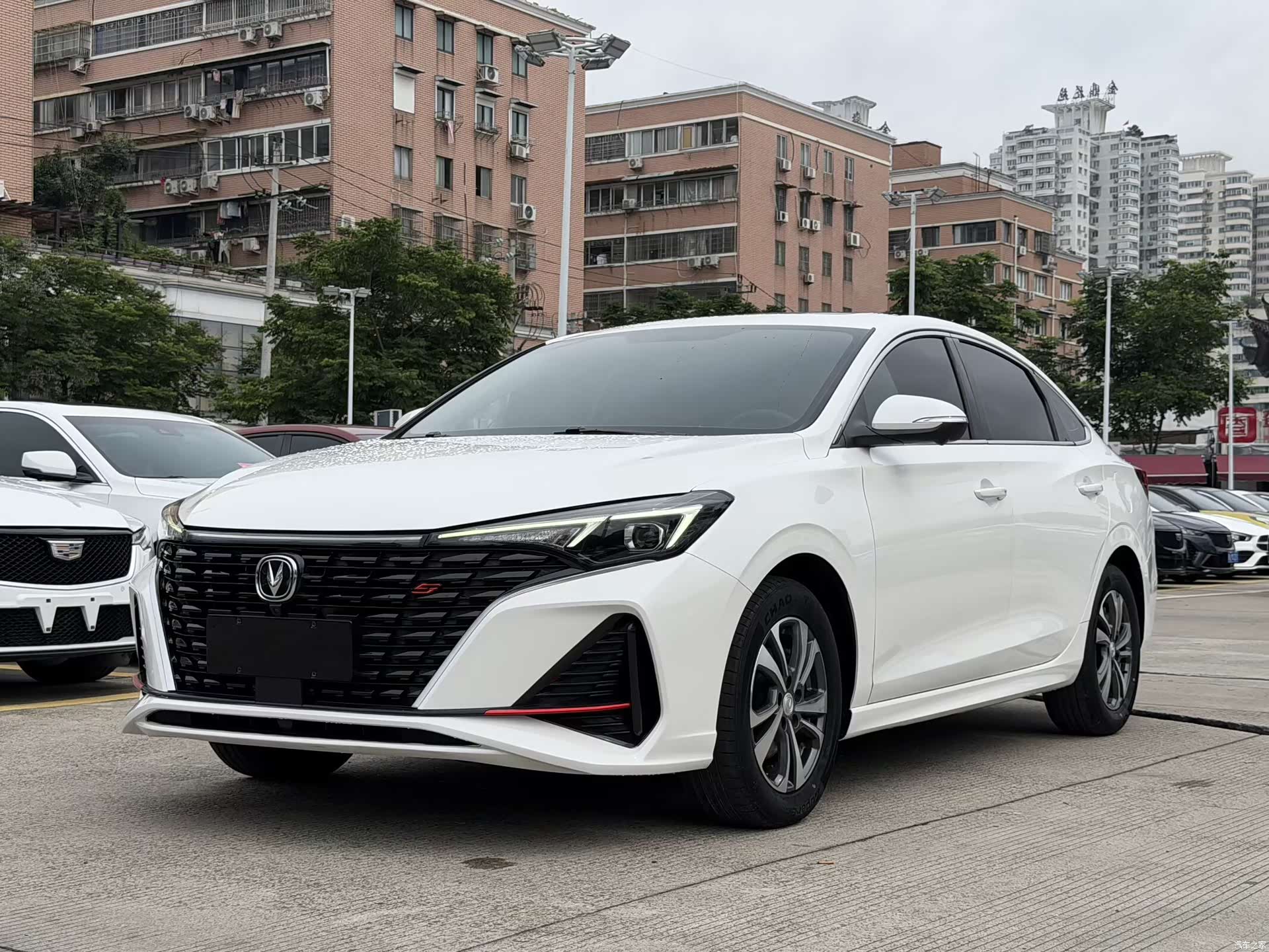 Changan Eado, 2023 1