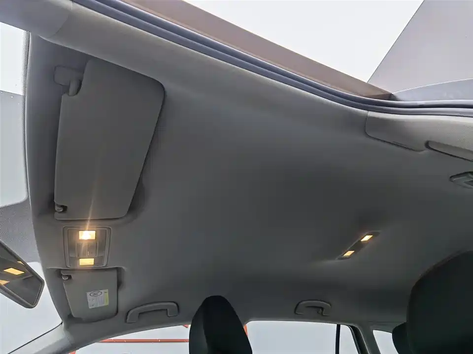 Volkswagen C-TREK Wei Collar