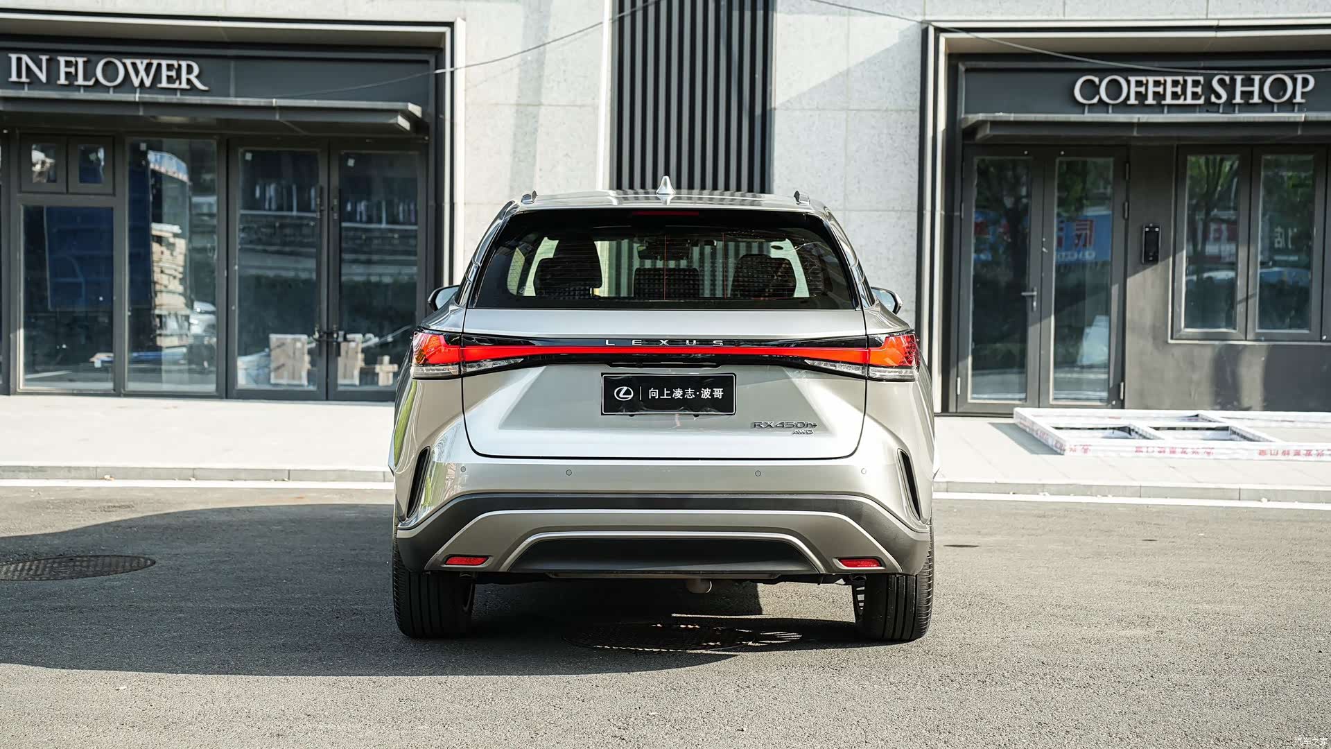 Lexus RX, 2023 все фото